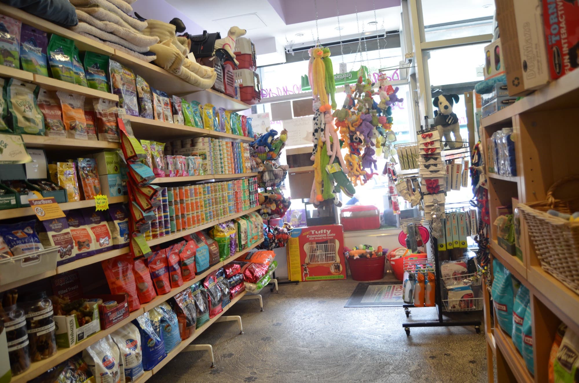Paws in Paradise pet boutique shelves
